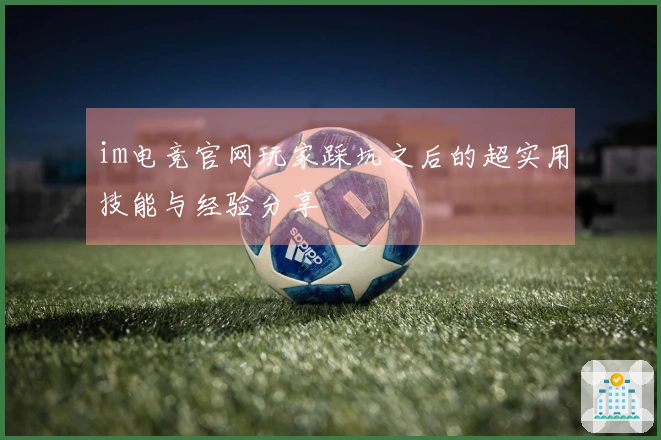 im电竞官网玩家踩坑之后的超实用技能与经验分享