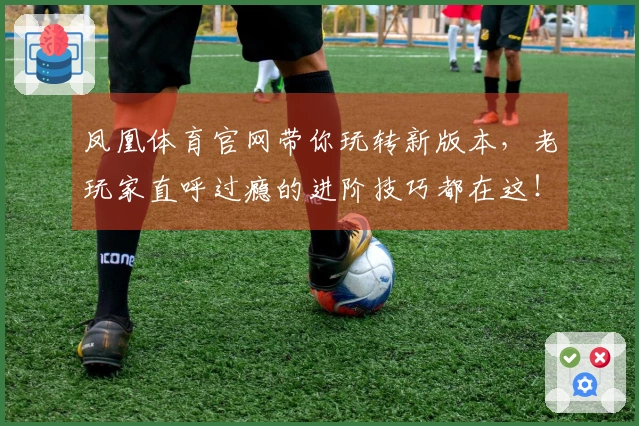 凤凰体育官网带你玩转新版本，老玩家直呼过瘾的进阶技巧都在这！