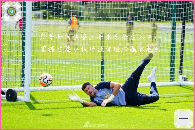 新手如何快速上手米乐平台入口，掌握这些小技巧让你轻松赢取胜利！